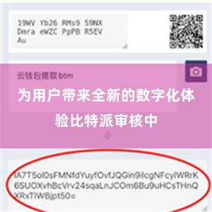 为用户带来全新的数字化体验比特派审核中